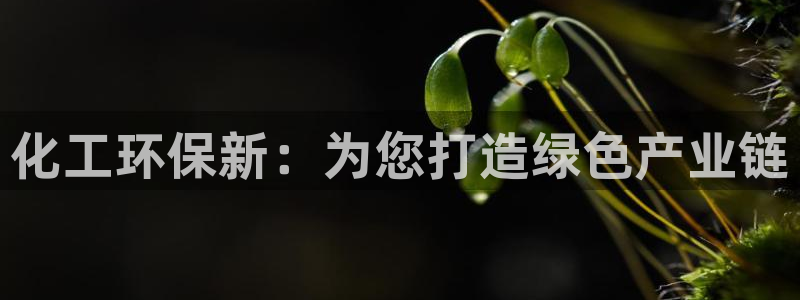 亿万的亿:化工环保新:为您打造绿色产业链